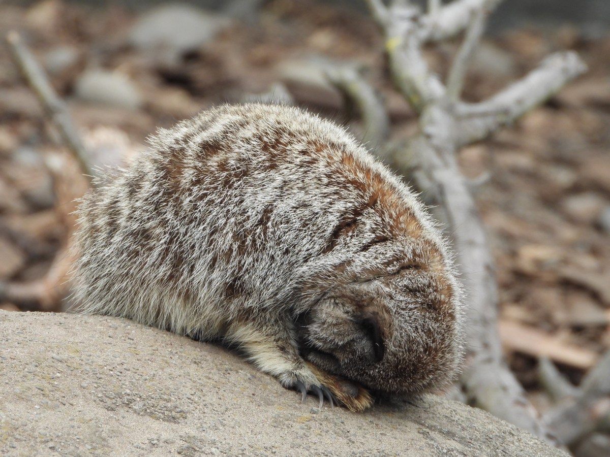 Day 26 – Thursday 12th&nbsp;February