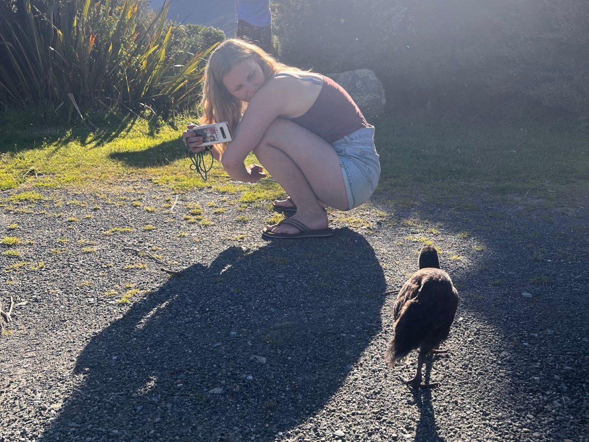 Day 18 – Wednesday 4th&nbsp;February