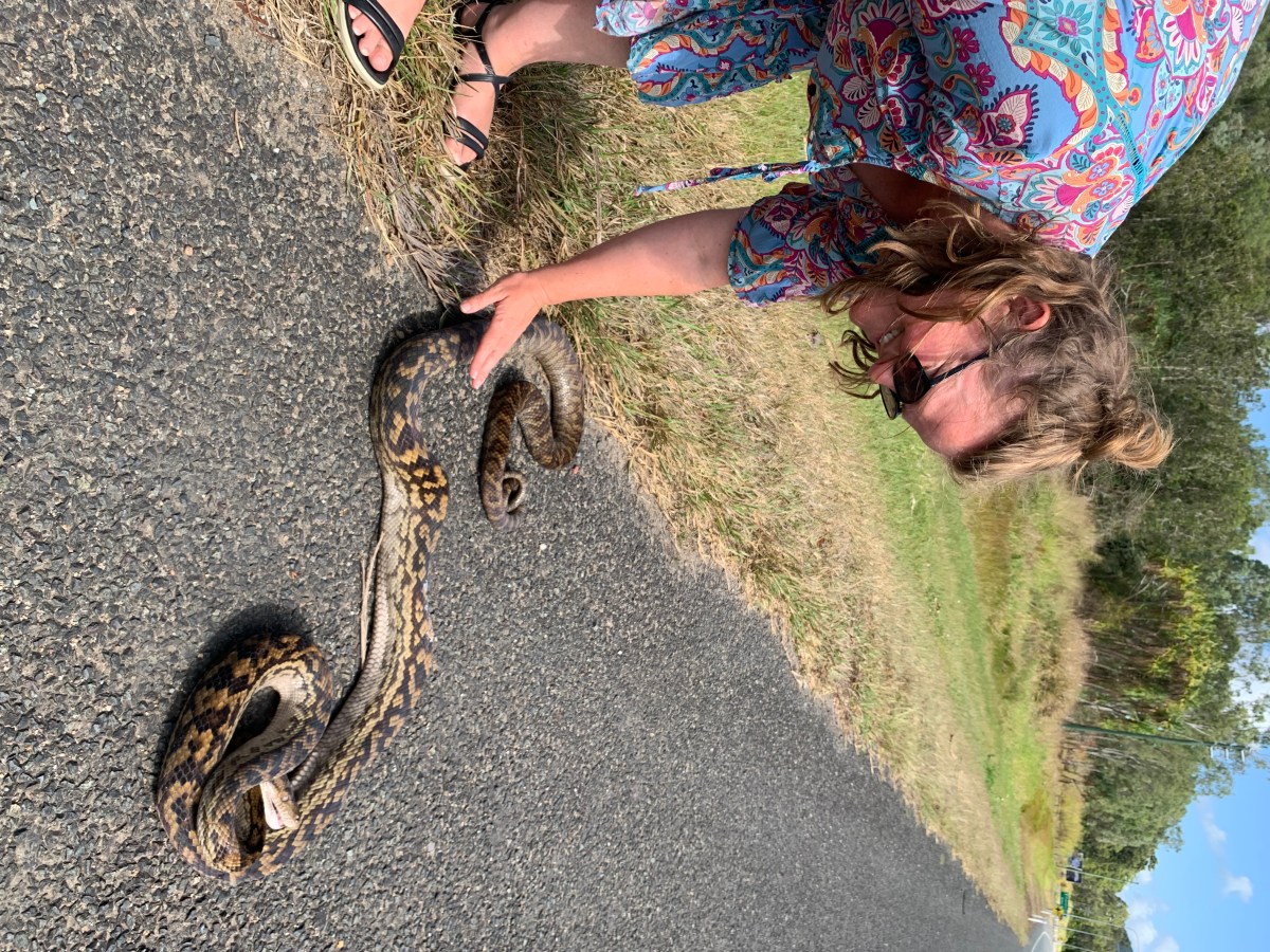 Snakes – 4th&nbsp;October